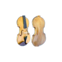 violaaaa-removebg-preview_1200138948