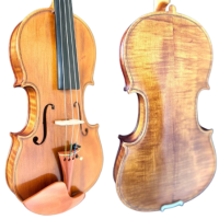 violino_site_1
