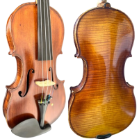 whatsapp_image_2026-01-29_at_13_22_12-removebg-preview