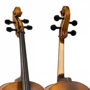 dupla_voluta_1044794869