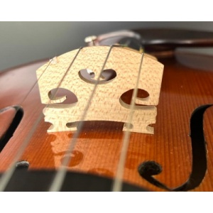 whatsapp_image_2025-12-18_at_13_42_41