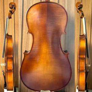 whatsapp_image_2025-12-19_at_13_29_22