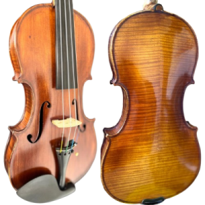 whatsapp_image_2026-01-29_at_13_22_12-removebg-preview