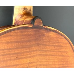 whatsapp_image_2026-01-29_at_13_22_12_1