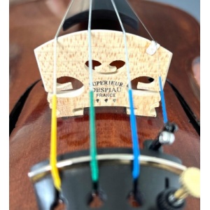 whatsapp_image_2026-01-29_at_13_22_13_2