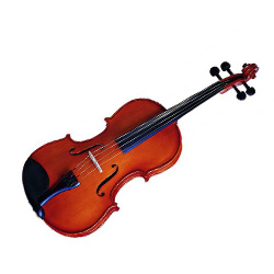 violadearco cat