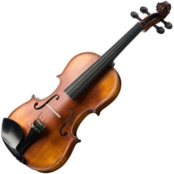 violino categoria